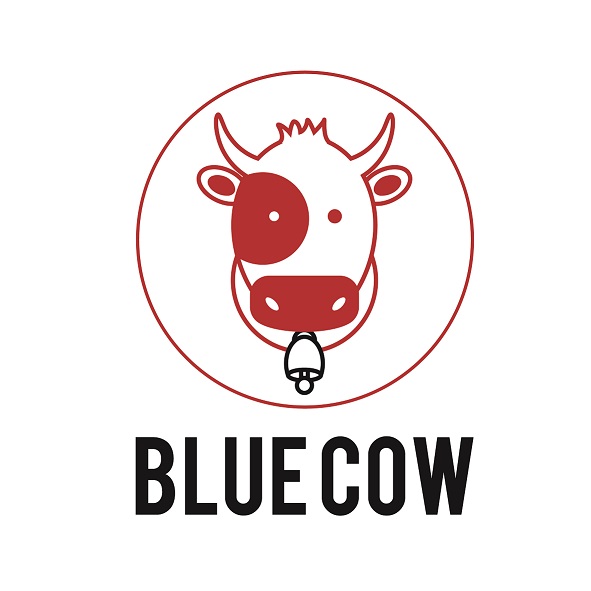 Blue Cow Studios has installed BTMS Accounting, Invoicing & Payroll software systems